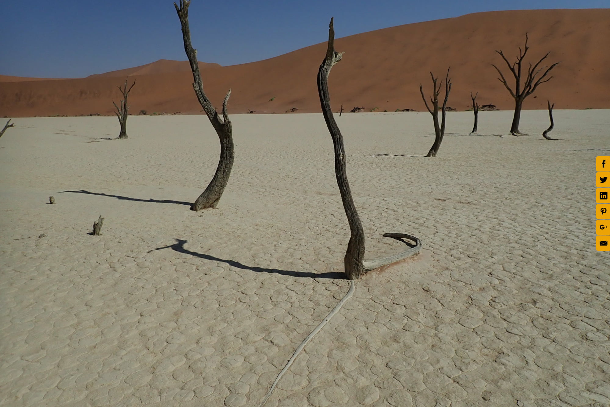 Interdune at Sossuvlei, Namibia