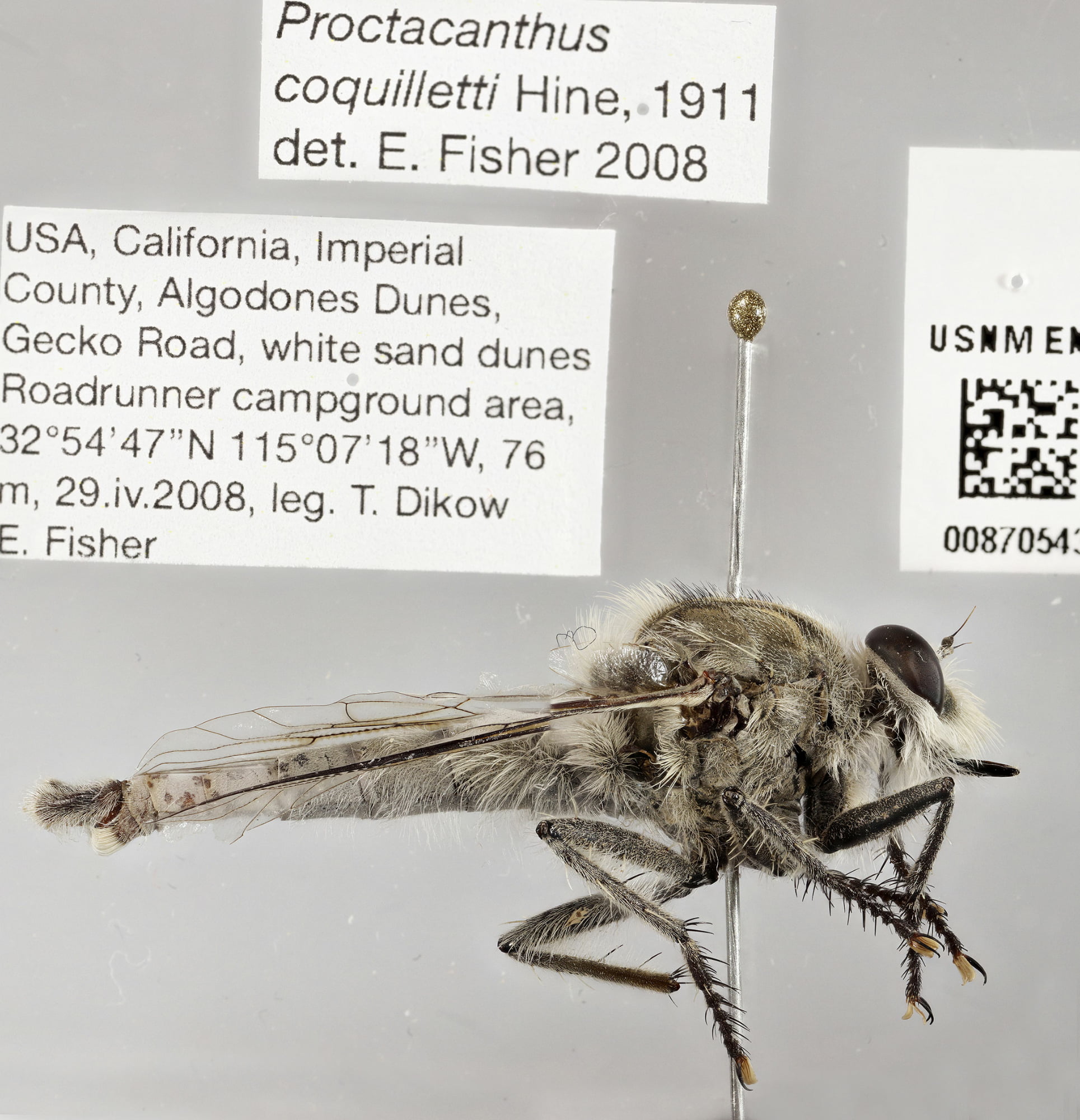 Pinned Specimen Example with Label (nontelecentric lens)