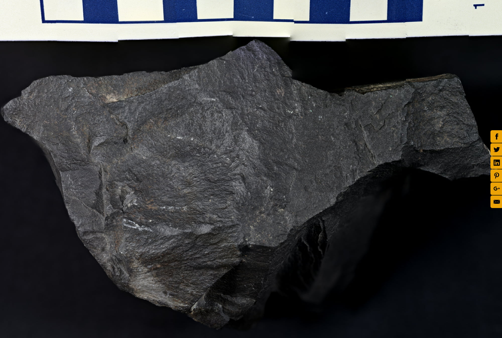 Unknown Igneous Rock Sample