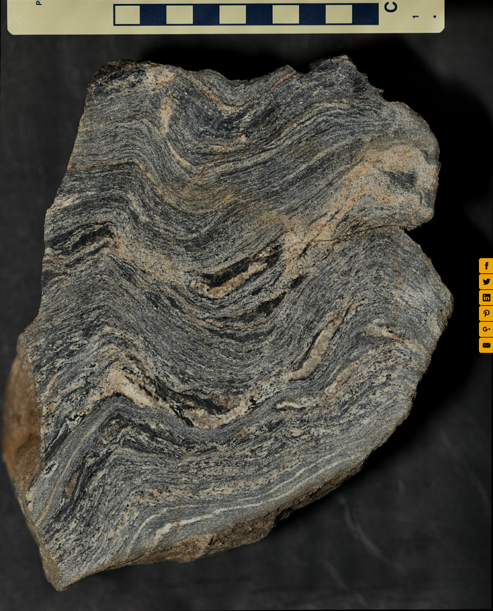 Migmatite