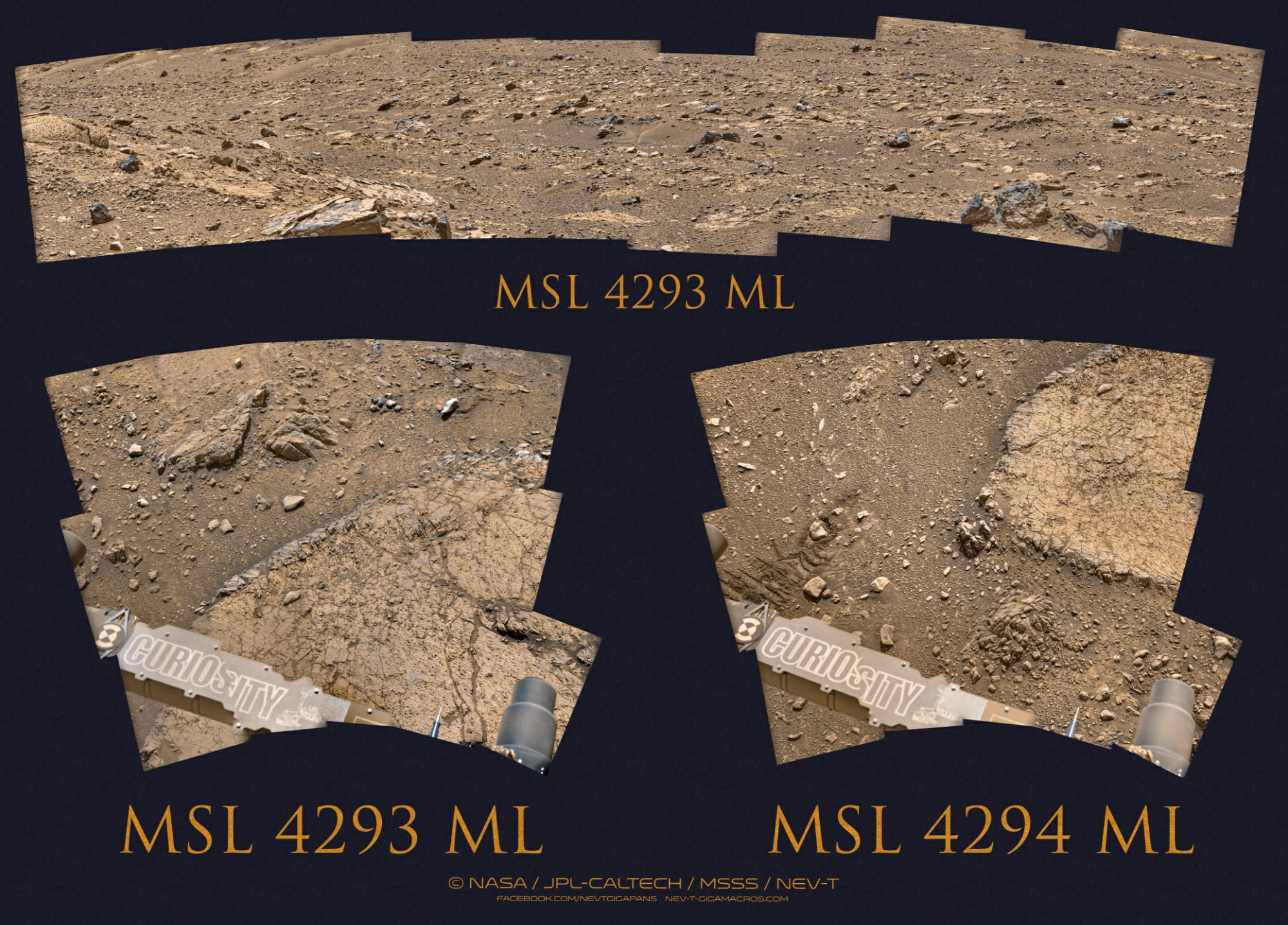 MSL 4293-4294 ML