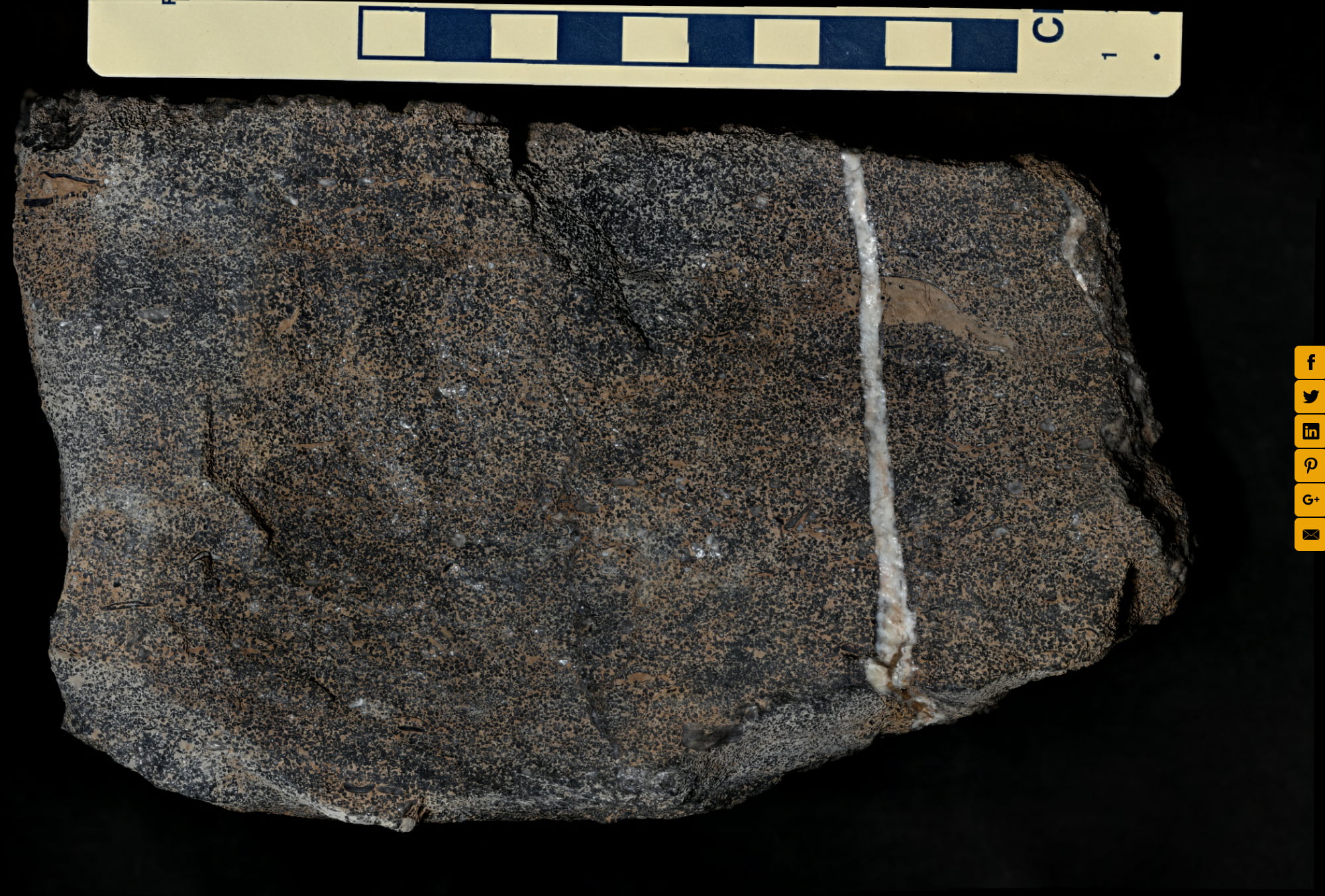 miami oolite limestone miami oolite limestone