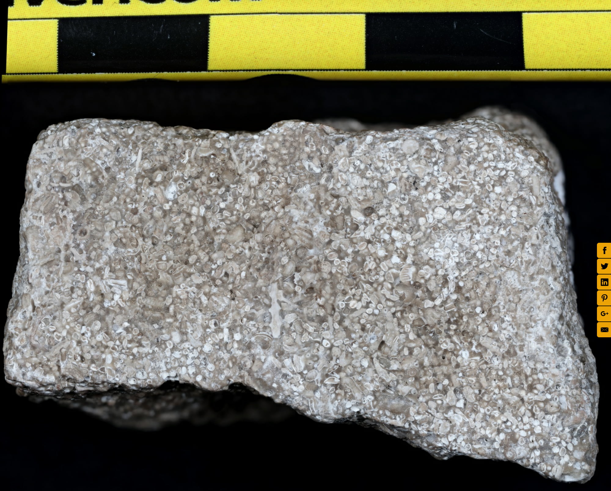 Limestone (biosparite)