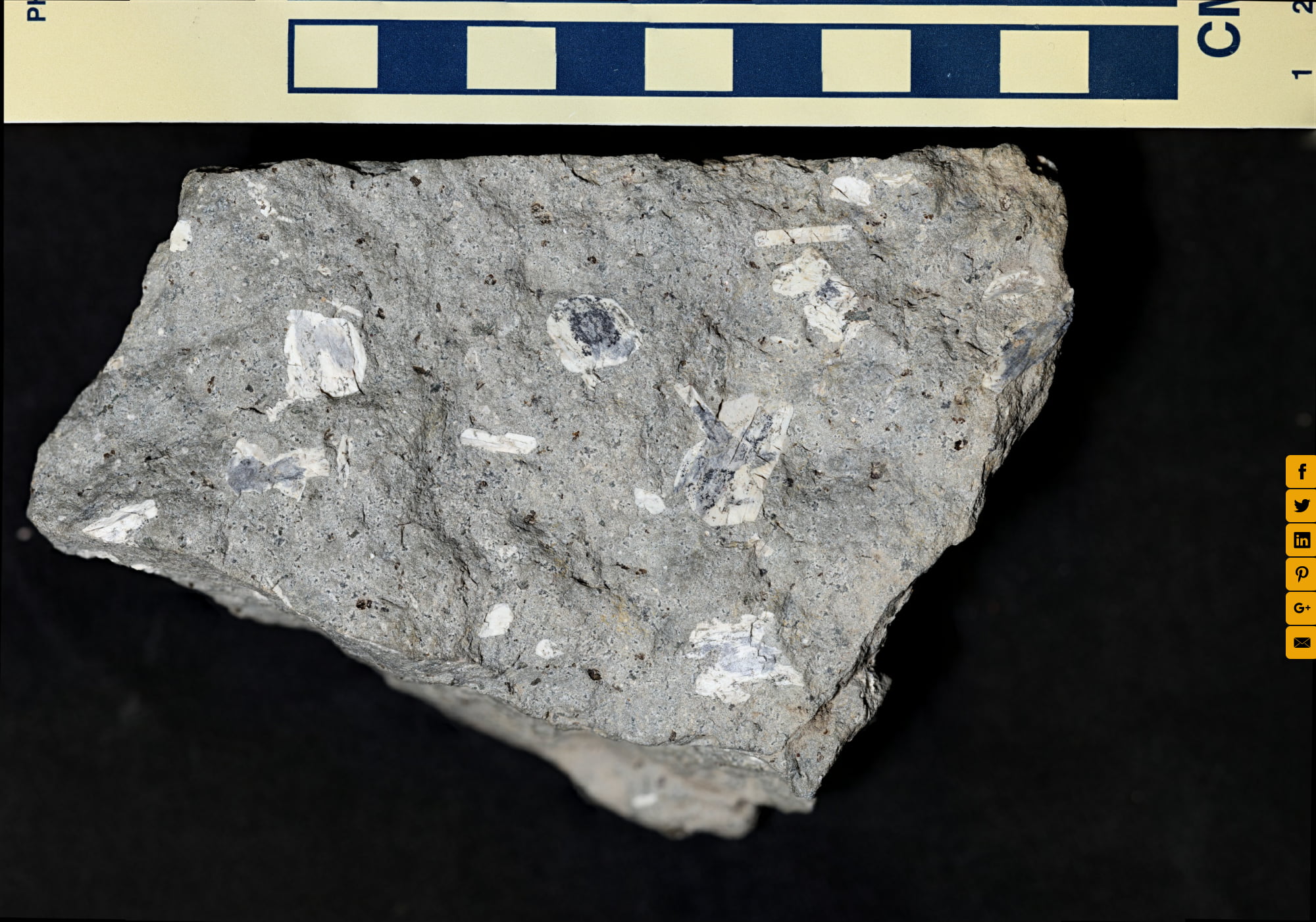 Igneous Rocks Lab Sample B