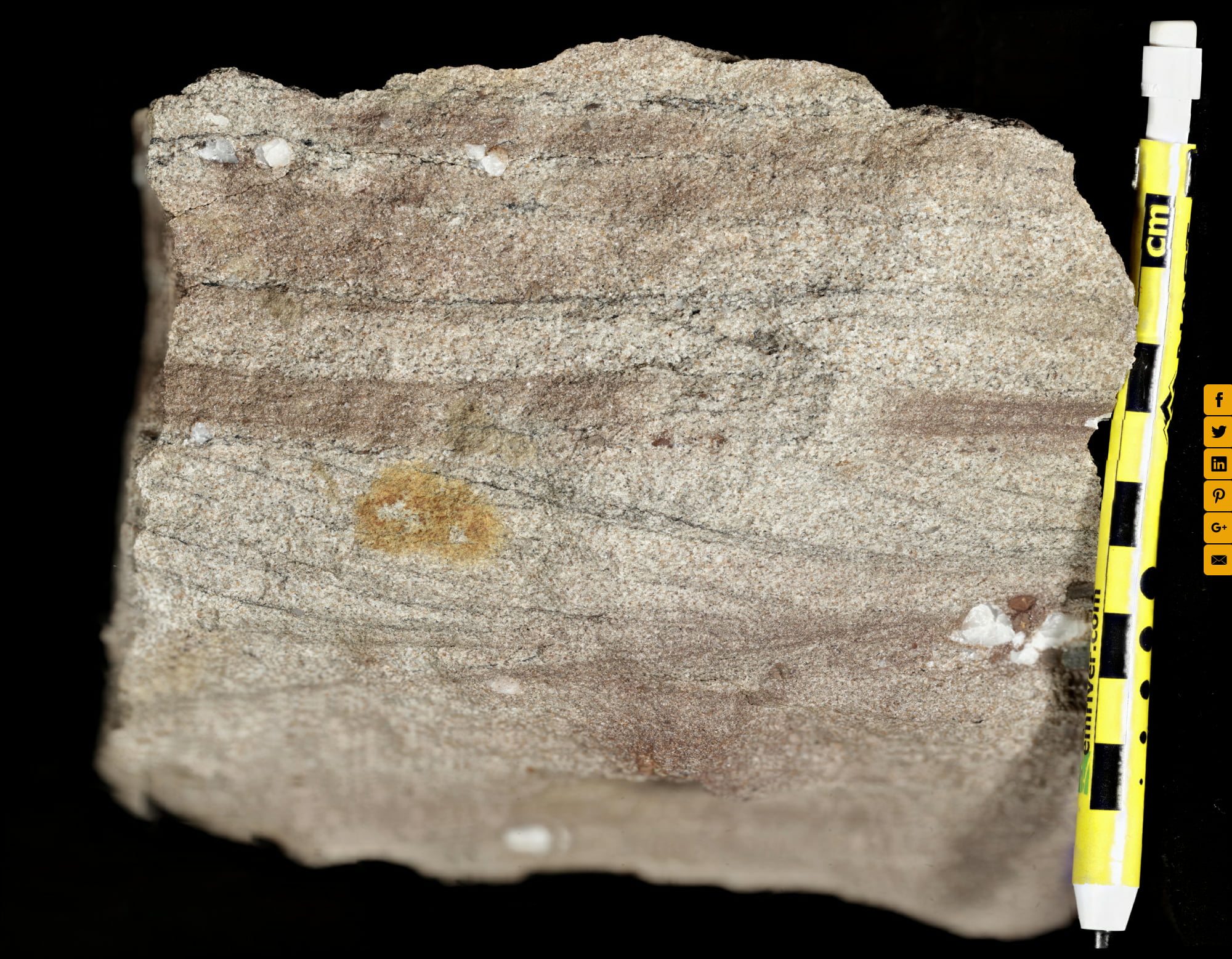 Sedimentary Rock Sandstone