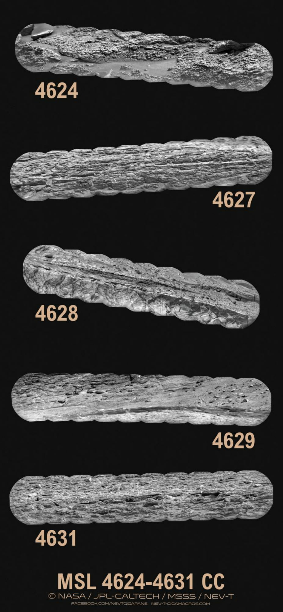 MSL 4624-4631 CC