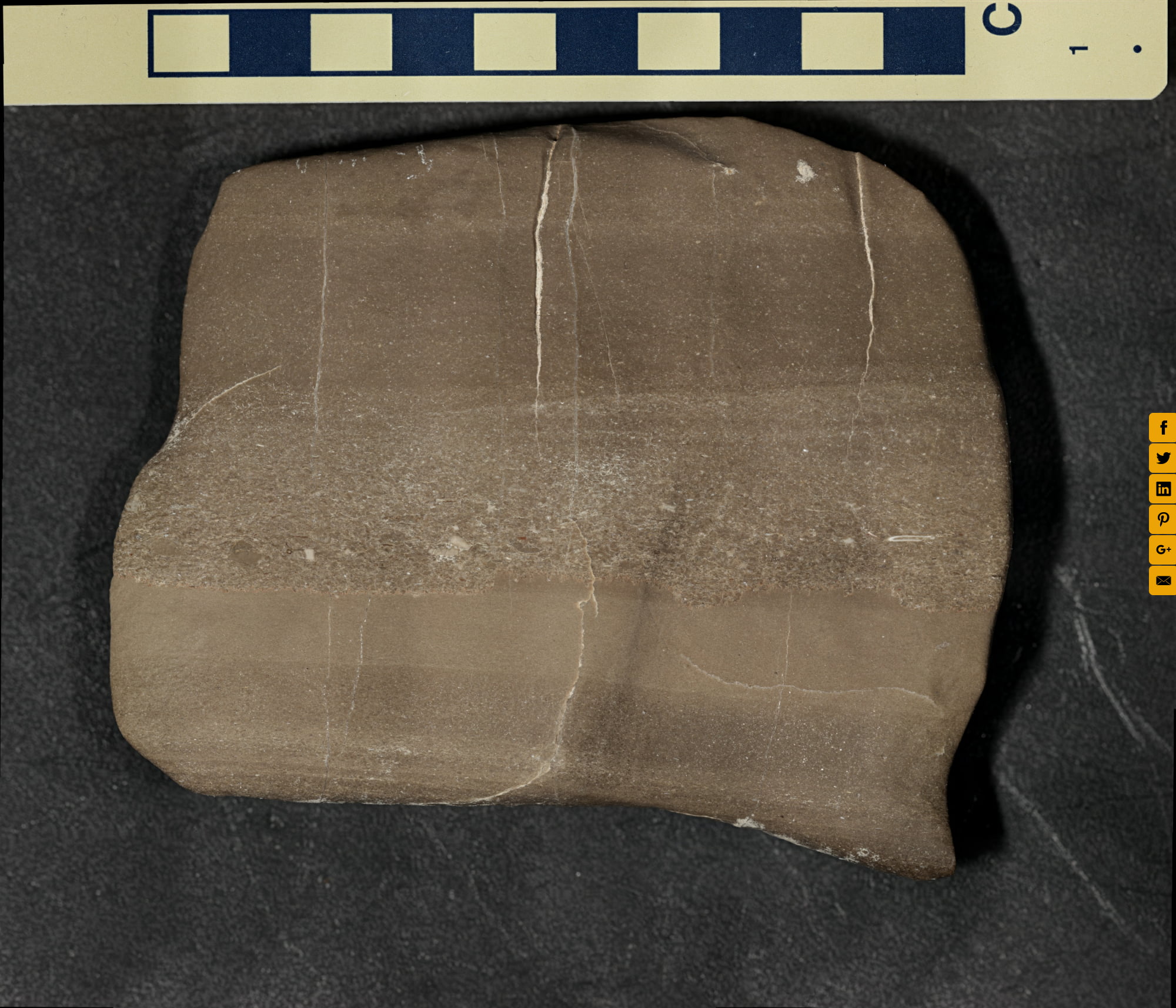 Sedimentary Rocks Lab Sample X