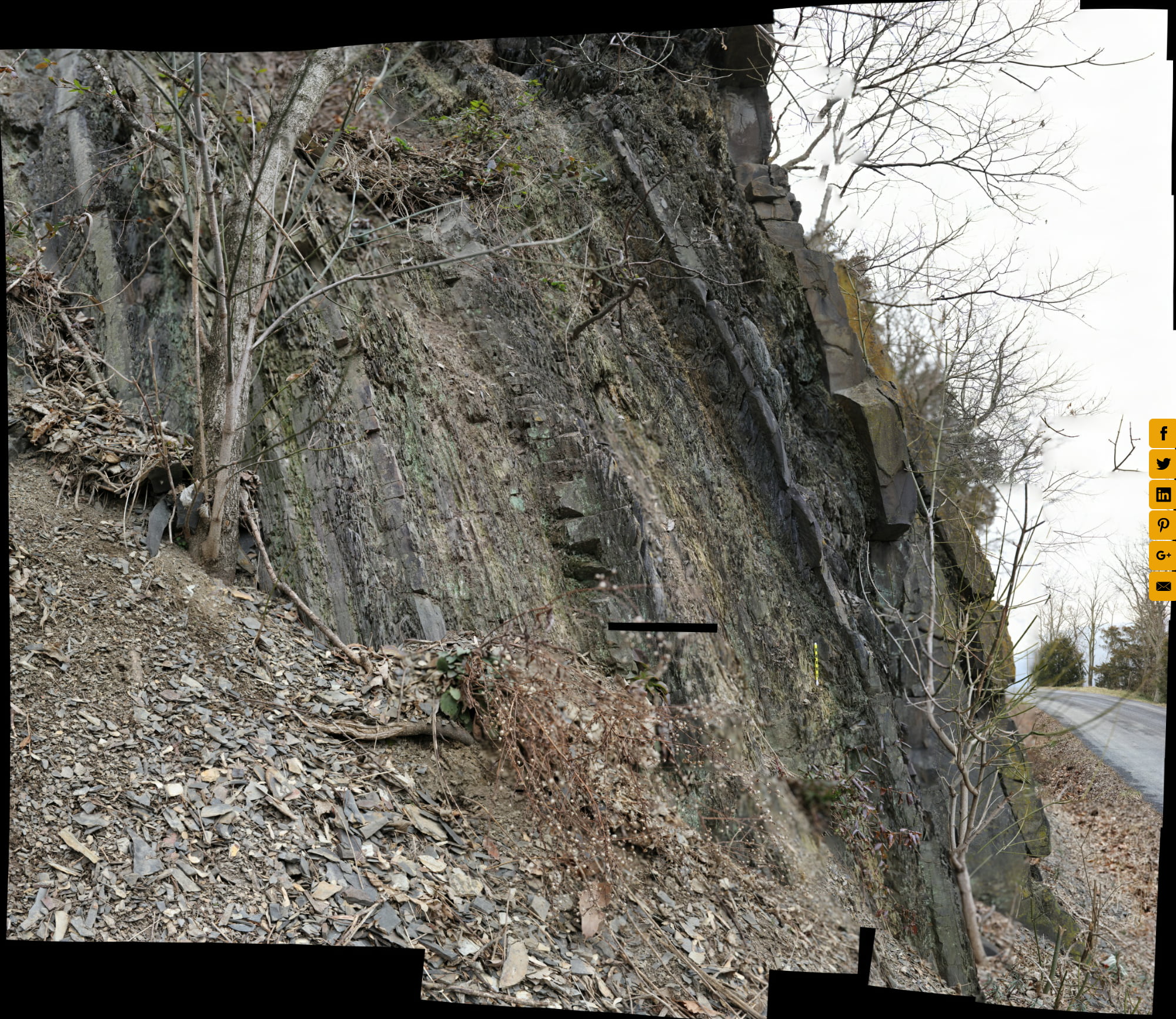 Martinsburg Formation, Millner Road (near Deer Rapids Road), Shenandoah
