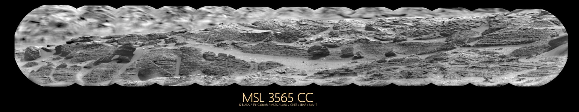 msl-3565-cc