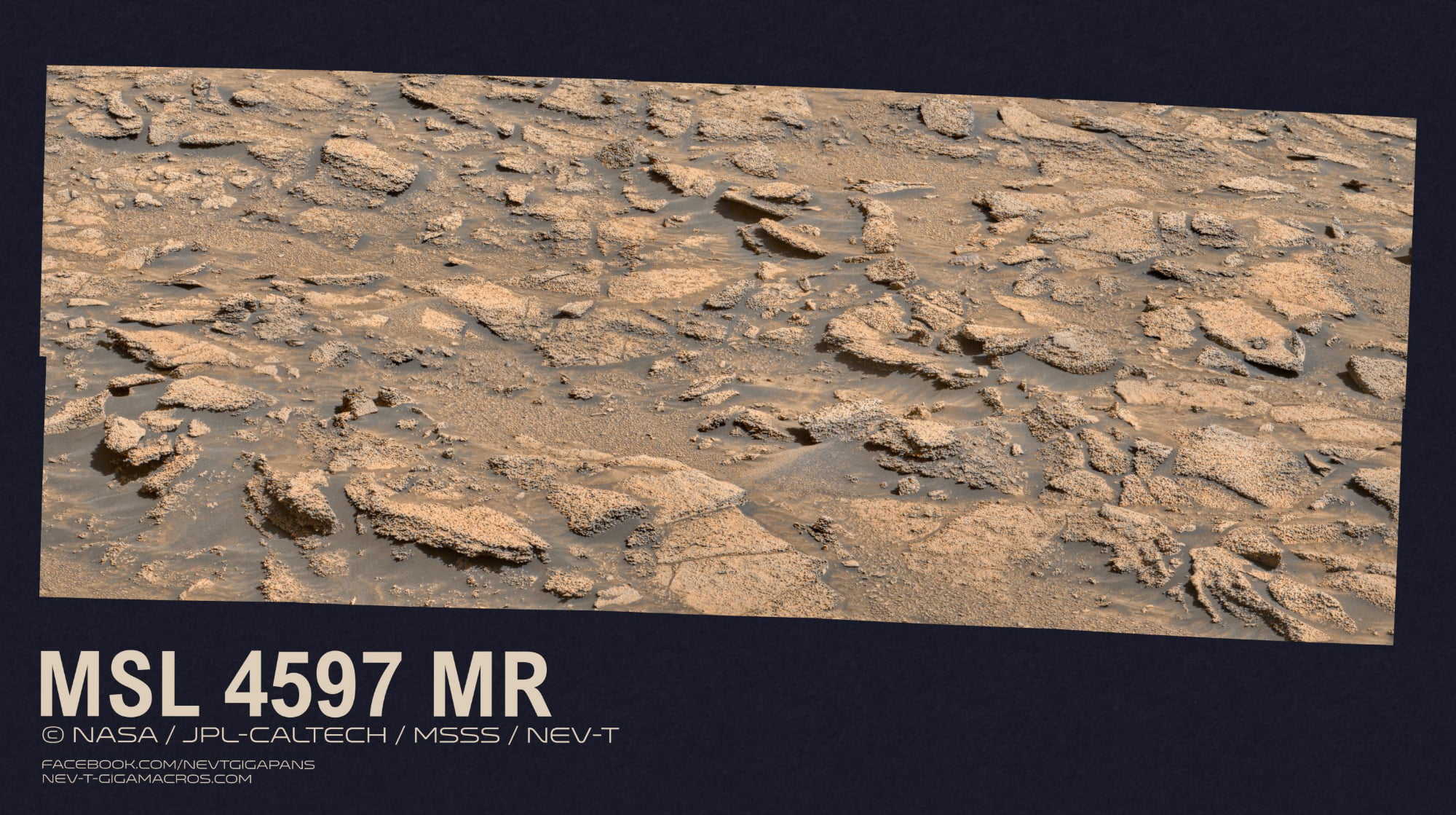 MSL 4597 MR