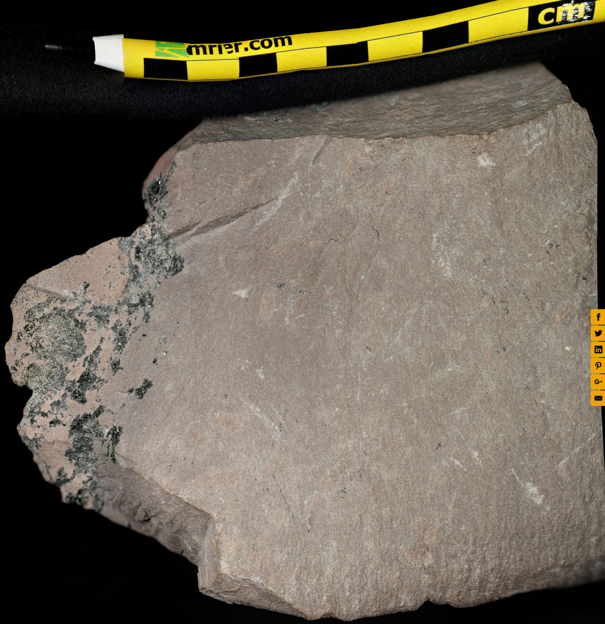 Balls Bluff Siltstone