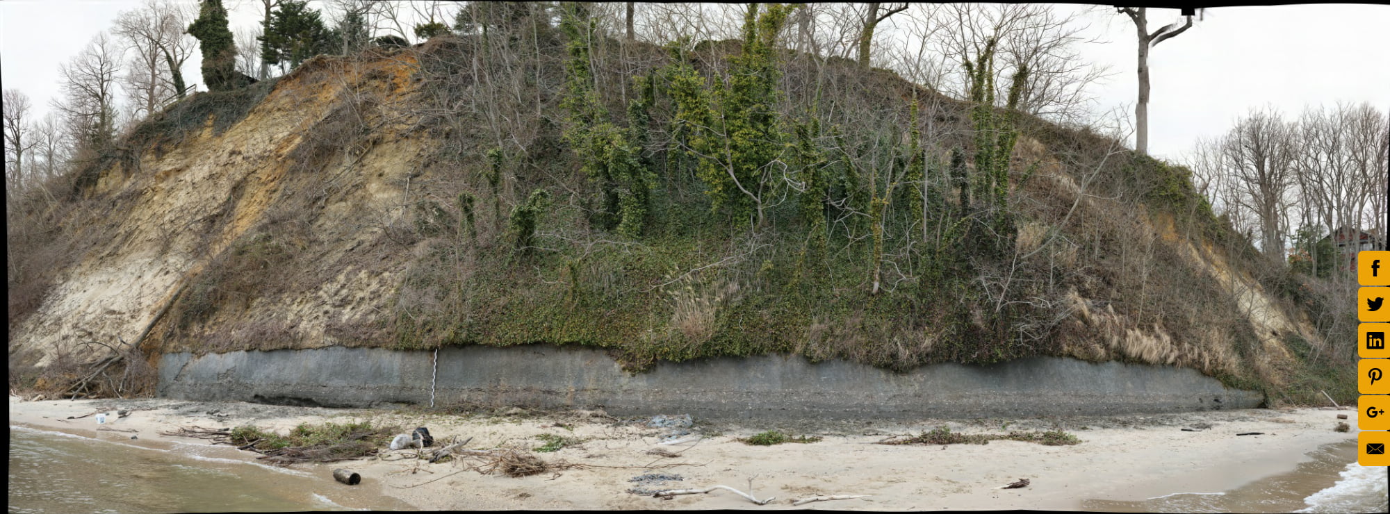 Calvert Formation, Scientists' Cliffs, Maryland (1 of 8)