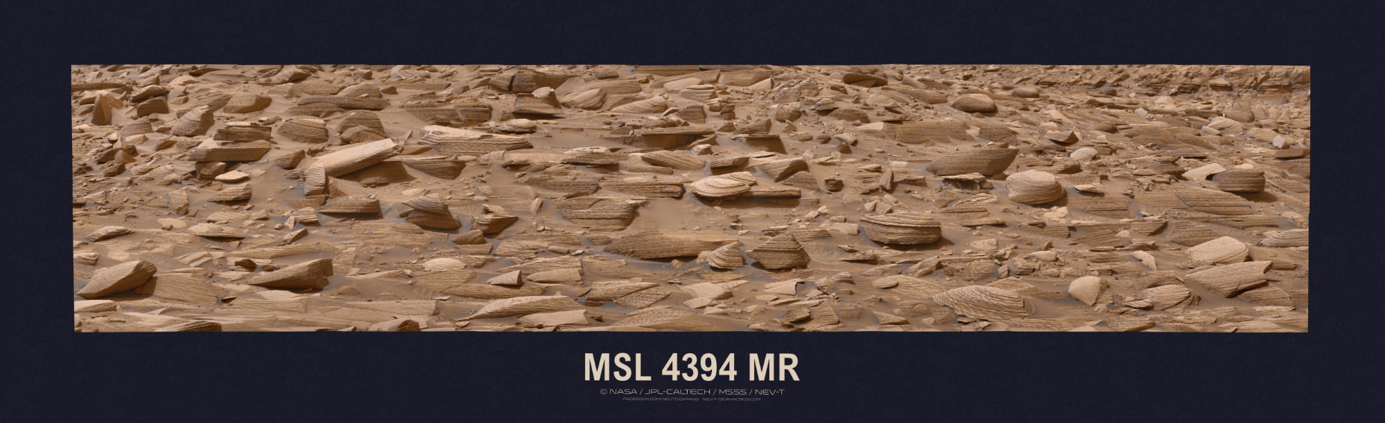 MSL 4394 MR