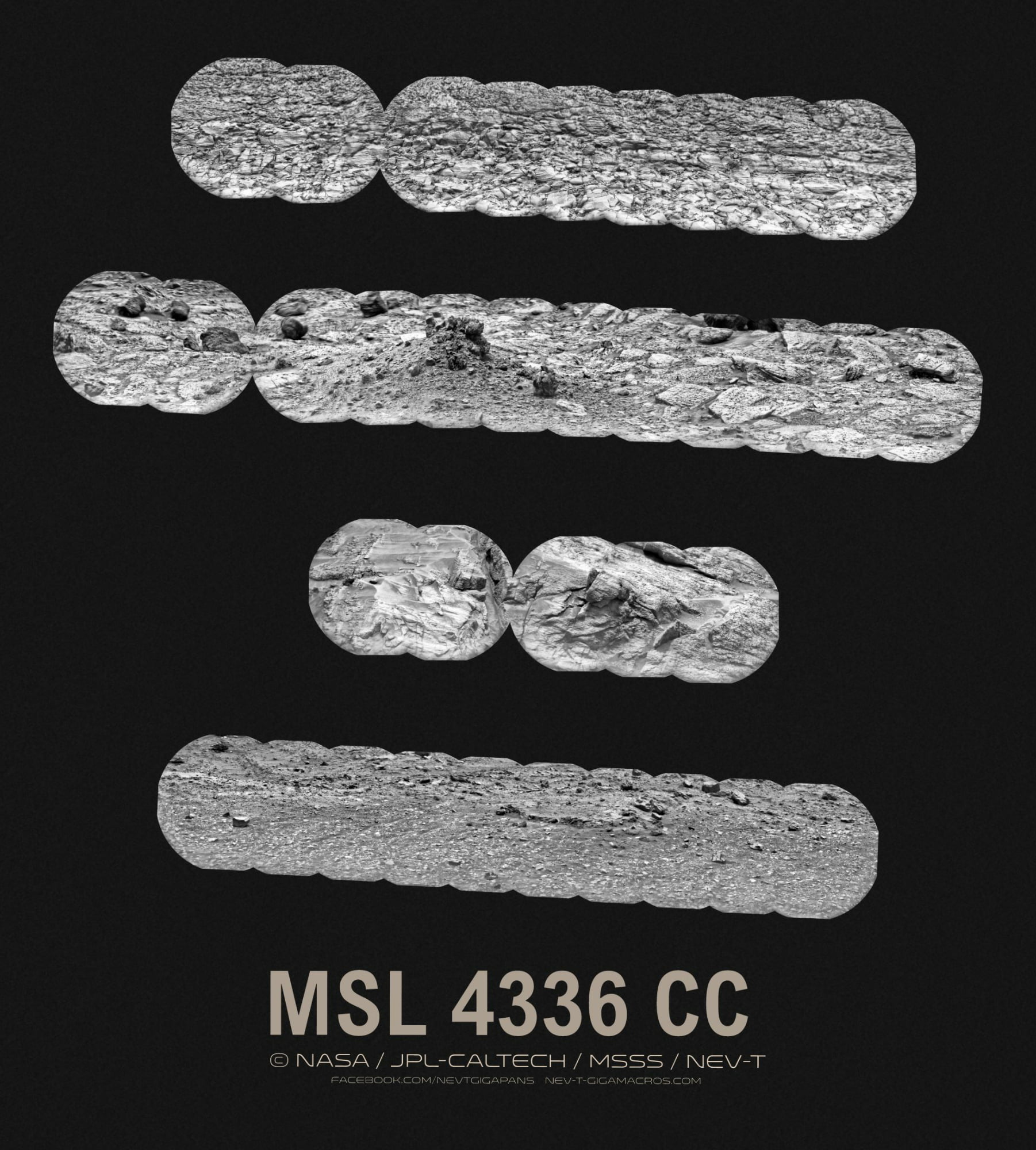 MSL 4336 CC
