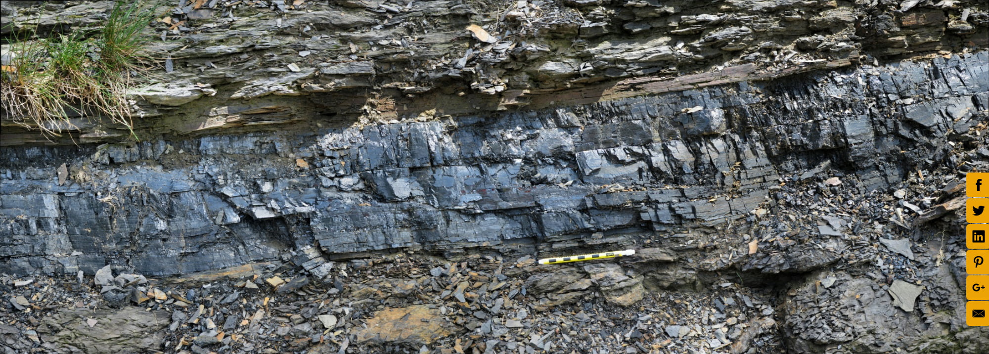 Coal Bed, Corridor H, West Virginia