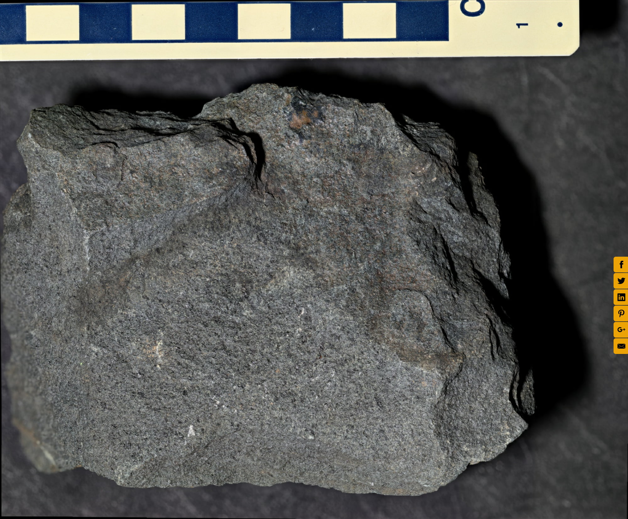 Catoctin Formation greenstone, Rockfish Gap, Virginia