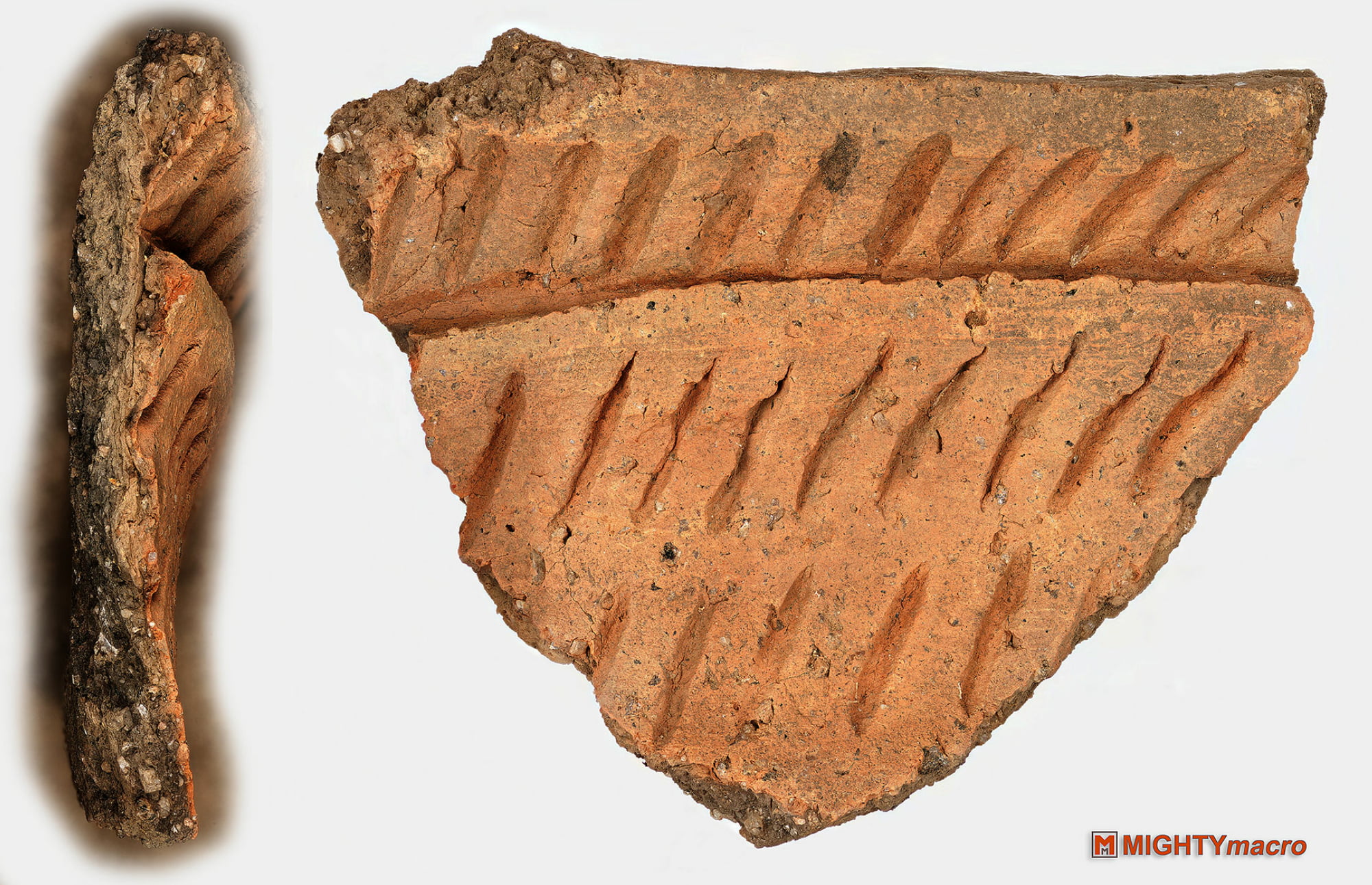 Precontact Indigenous Pottery 2