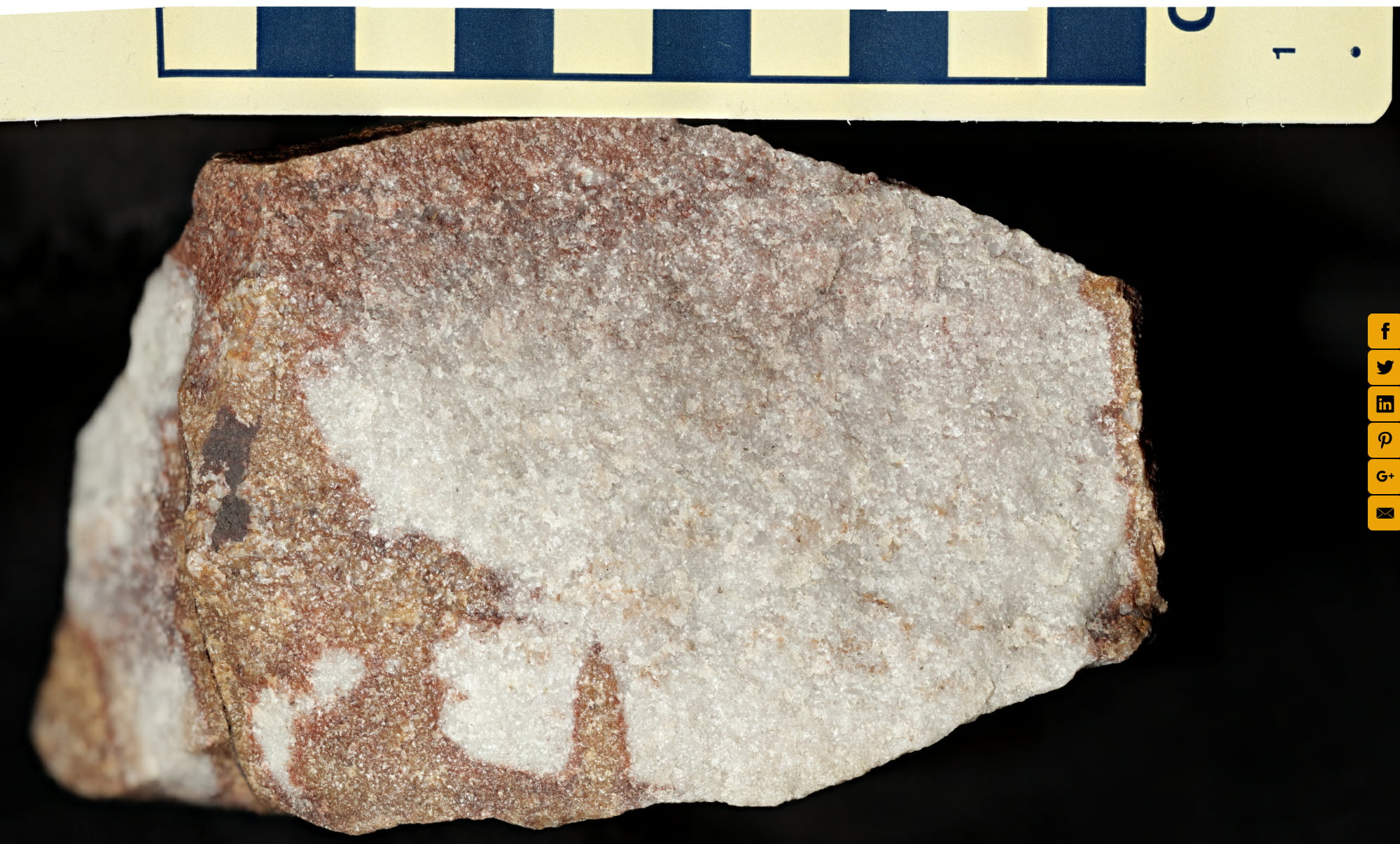 Tuscarora Formation quartzite, showing iron oxide staining