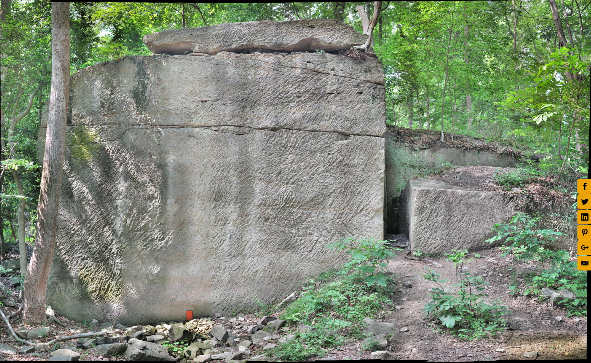 Aquia Creek Sandstone (2)