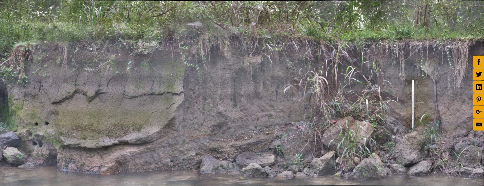 Cut Bank Soil Profile Holmans Creek, Quicksburg, VA